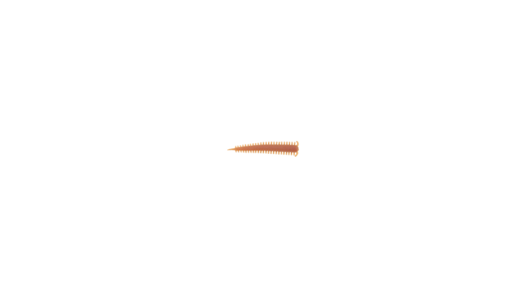 Berkley Gulp Sandworm - GSSW2-NAT