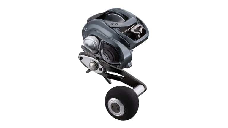 Daiwa Lexa TWS 300 Casting Reel