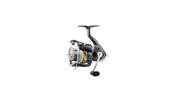 Daiwa 2023 Saltiga Spinning Reels – Tackle World