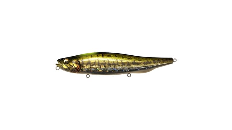 Megabass Megadog-X - GIB