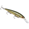 Strike King KVD Deep Jerkbait - Style: 663