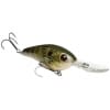 Strike King Pro Model 6XD Crankbait - Style: 663