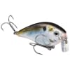 Strike King KVD 2.5 Wake Bait - Style: 699