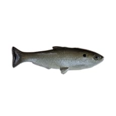 Huddleston Weedless Shad