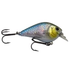 Lucky Craft Fat CB BDS1