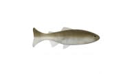 Anglers King Sugar Shaker Trout - SS575JR-020 - Thumbnail