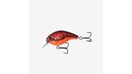 13 Fishing Scamp - MP - Thumbnail