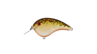 Strike King Chick Magnet Jr Crankbait - 563 - Thumbnail