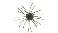 Z-Man Fuzzy Nuggetz - 46 - Thumbnail