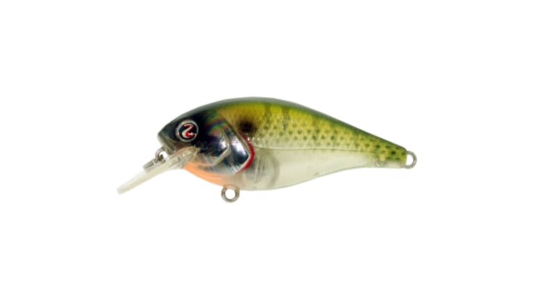 River2Sea Ish Monroe Biggie Poppa Crankbait - IM-BEPA67BR/28