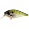 River2Sea Ish Monroe Biggie Poppa Crankbait - Style: 28