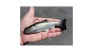 Huddleston 68 Special Swimbait Weedless - BBS - Thumbnail