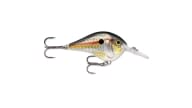 Rapala DT Series Crankbait - SD - Thumbnail