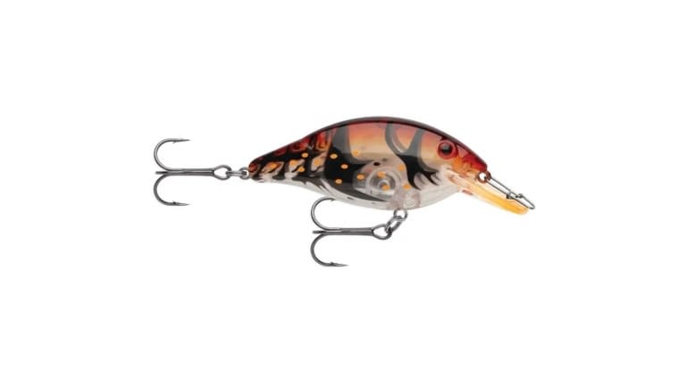 Storm Speed Trap - 059