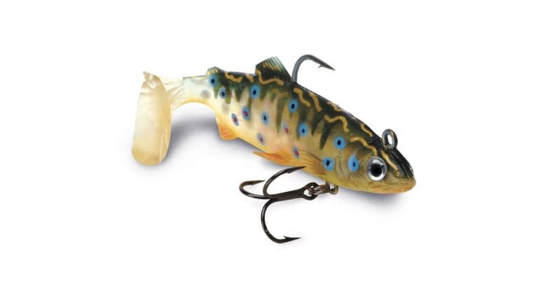 Storm Wildeye Live Brook Trout