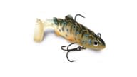 Storm Wildeye Live Brook Trout - Thumbnail